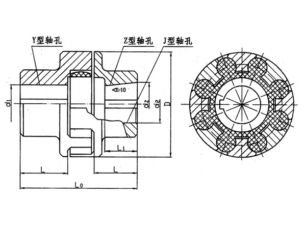 ML型梅花形弹性联轴器系列